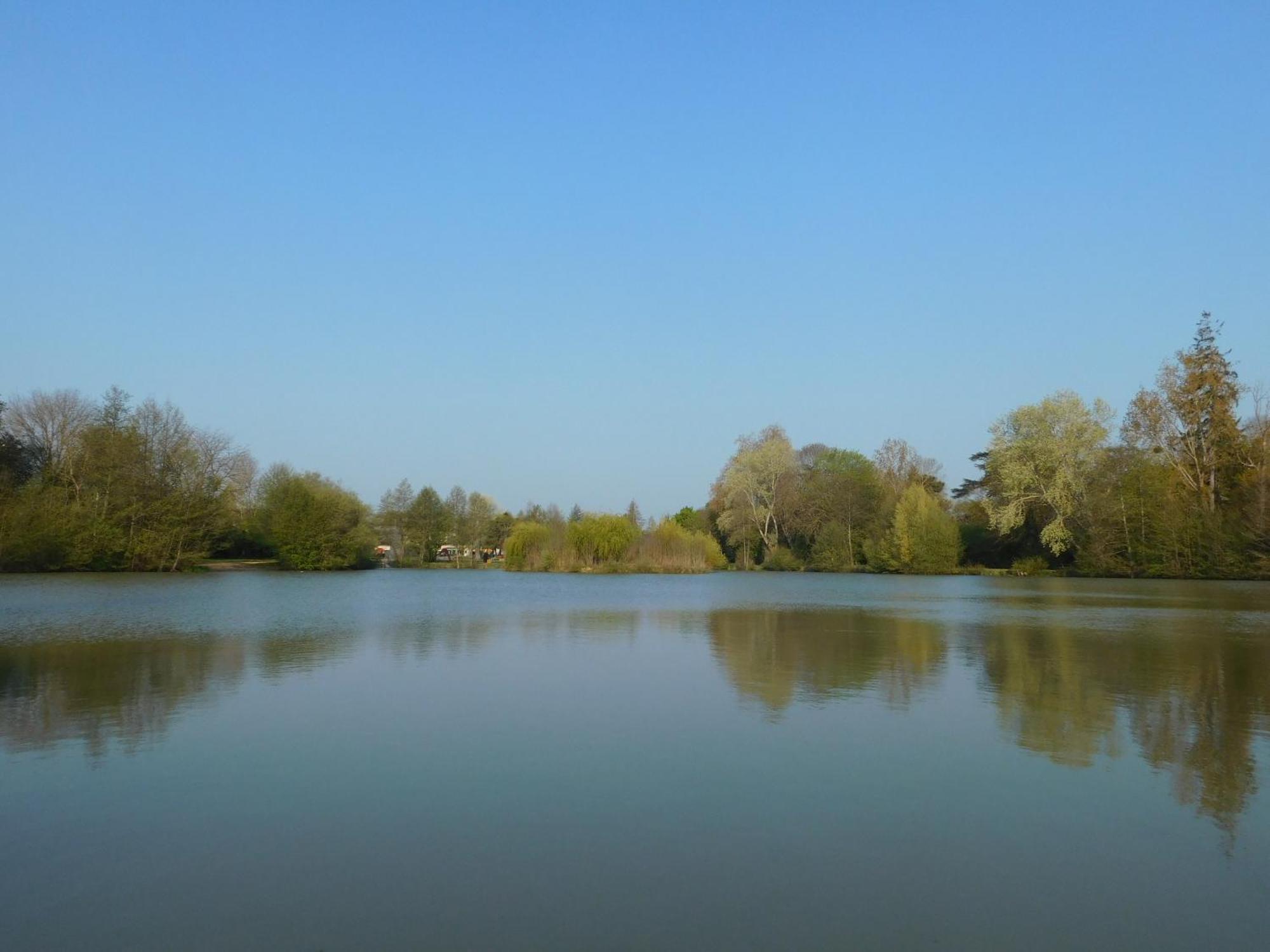 Village De Gites Nature Et Jardin Bouere Esterno foto
