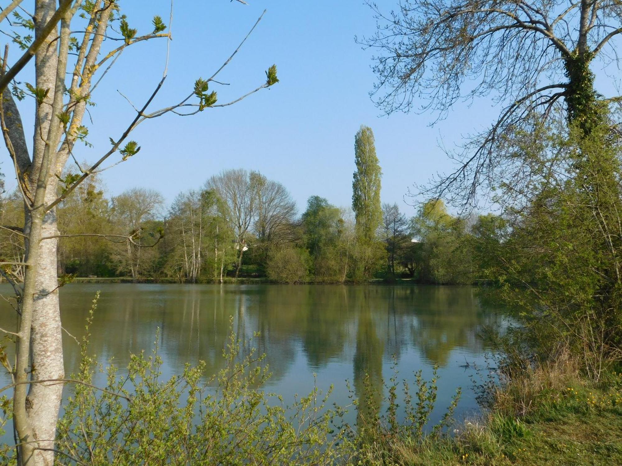 Village De Gites Nature Et Jardin Bouere Esterno foto